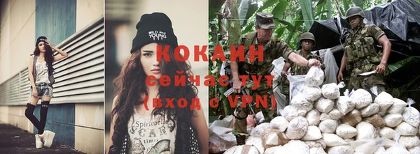 скорость Каменногорск