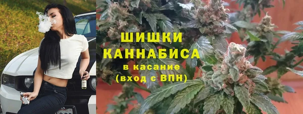 скорость Каменногорск